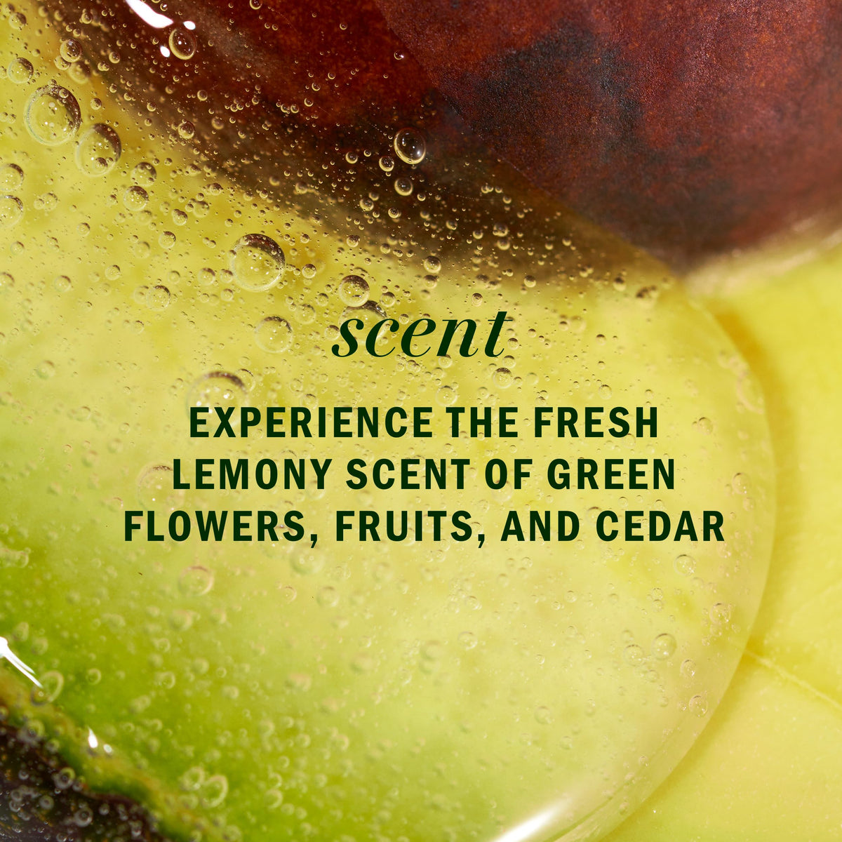 Herbal Essences avocado and argan ingredients illustrating nourishment