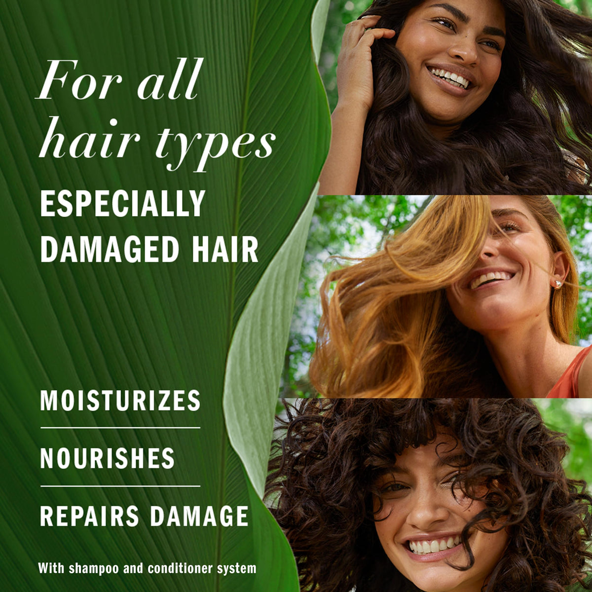 Herbal Essences back label close-up listing ingredients and simple directions