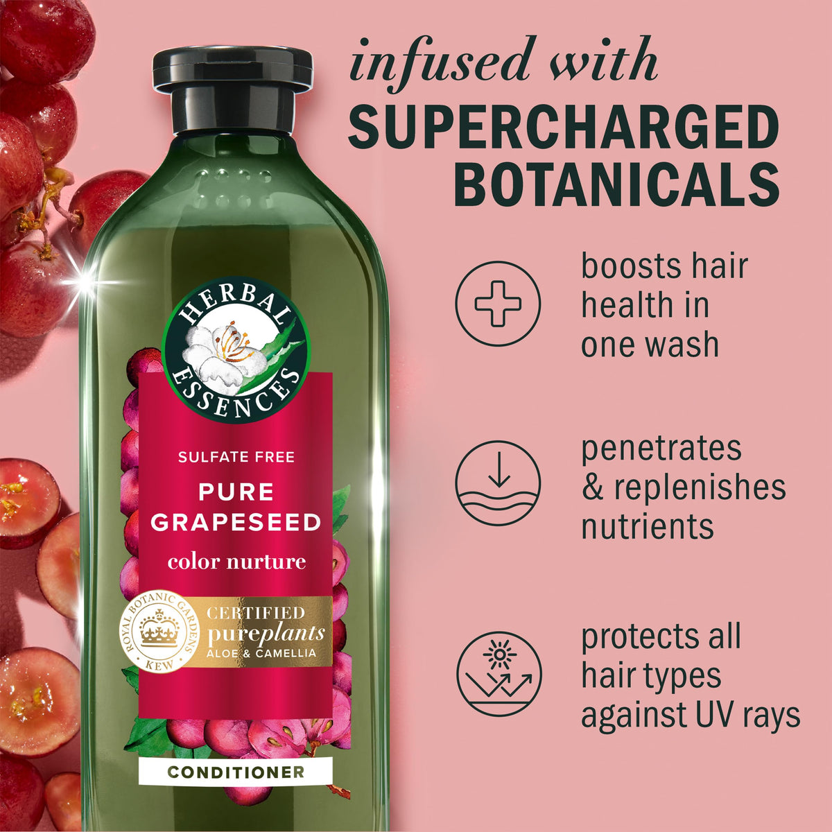 Herbal Essences back label with ingredients and directions clearly visible