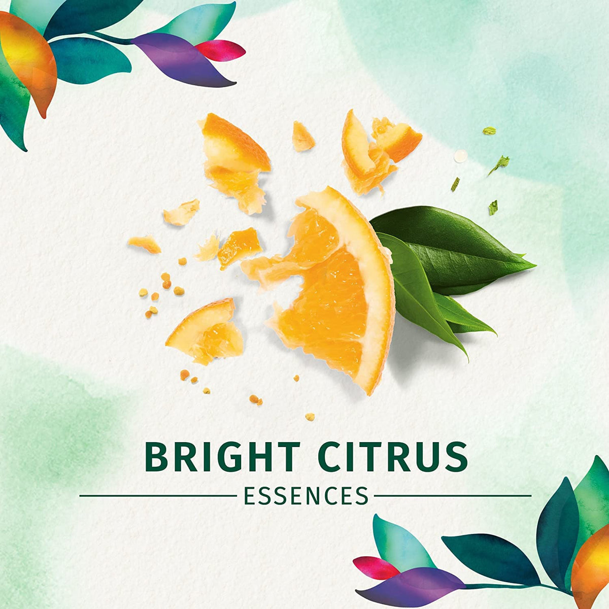 Herbal Essences ingredients visual emphasizing key components and lightweight formula