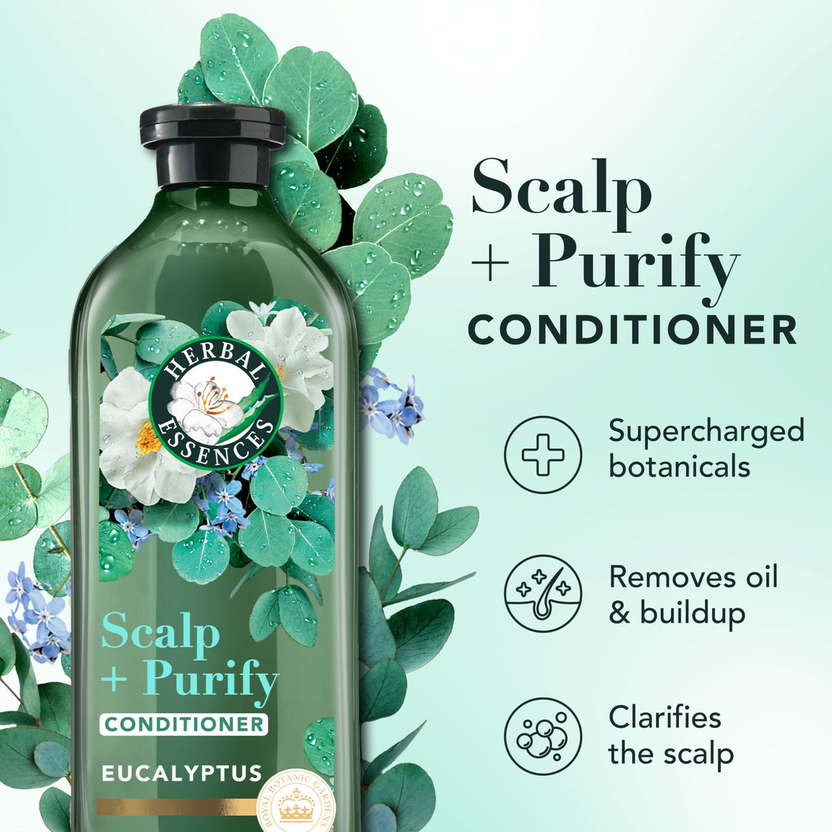 Herbal Essences set angled to show brand labels and product trio clarity
