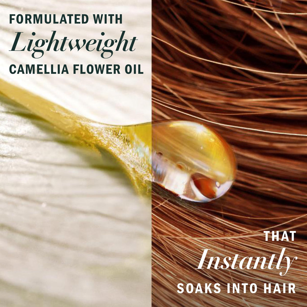 Herbal Essences botanical ingredients camellia argan and aloe highlighting natural sourcing