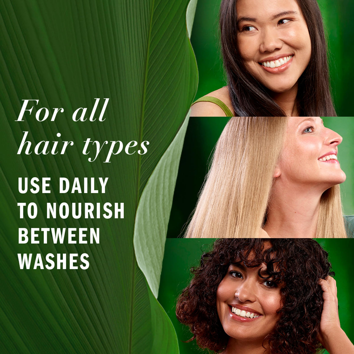 Herbal Essences camellia flower oil droplet closeup illustrating natural nourishment