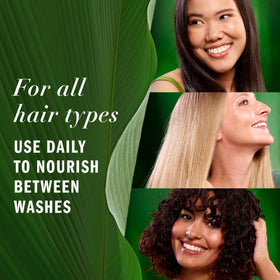 Herbal Essences camellia flower oil droplet closeup illustrating natural nourishment