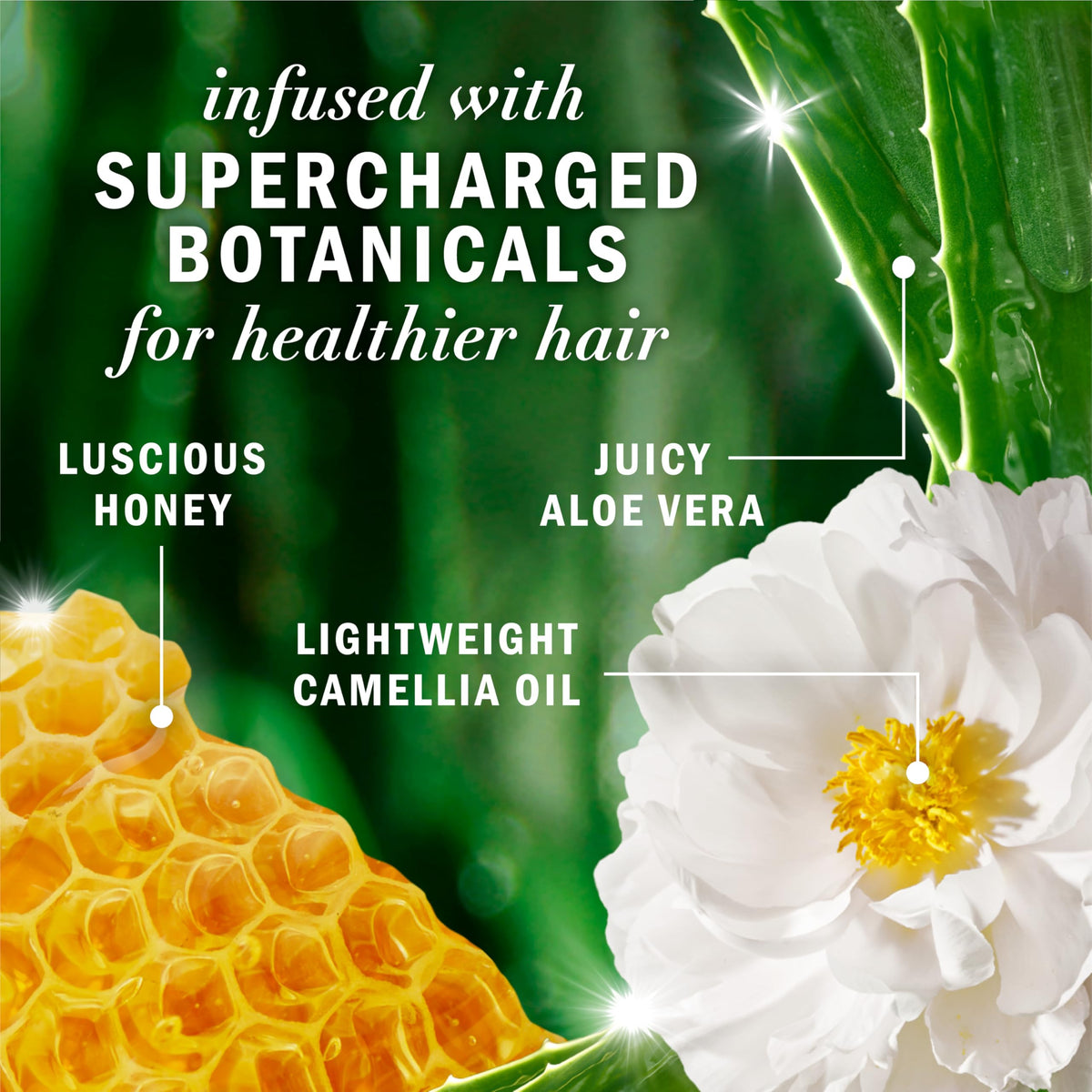 Herbal Essences camellia oil drop close-up depicting lightweight nourishment