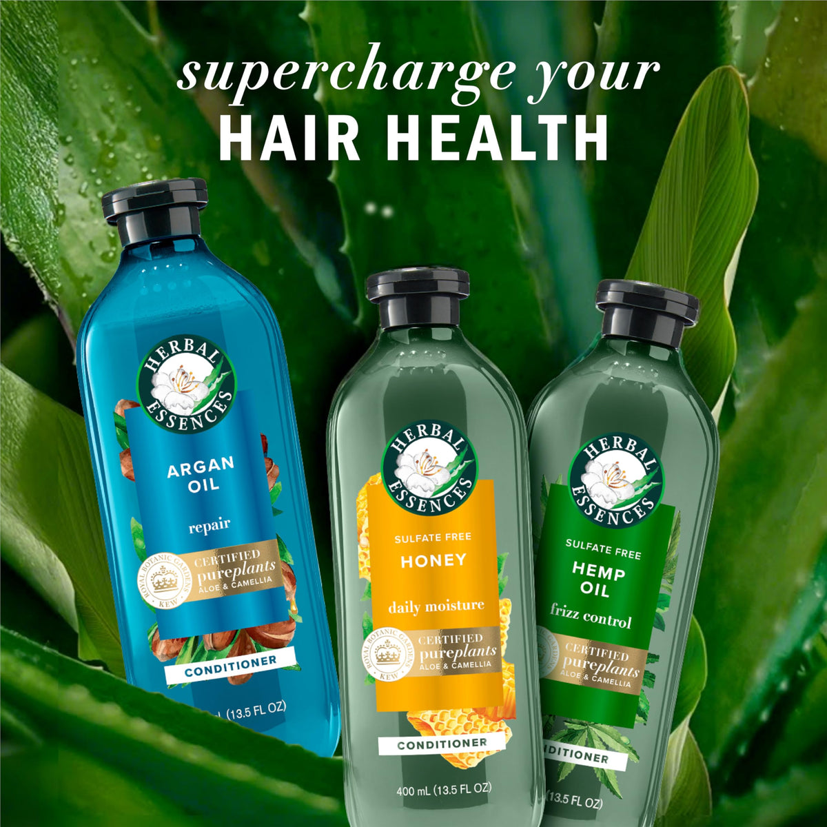 Herbal Essences botanicals and argan oil highlighting natural origin