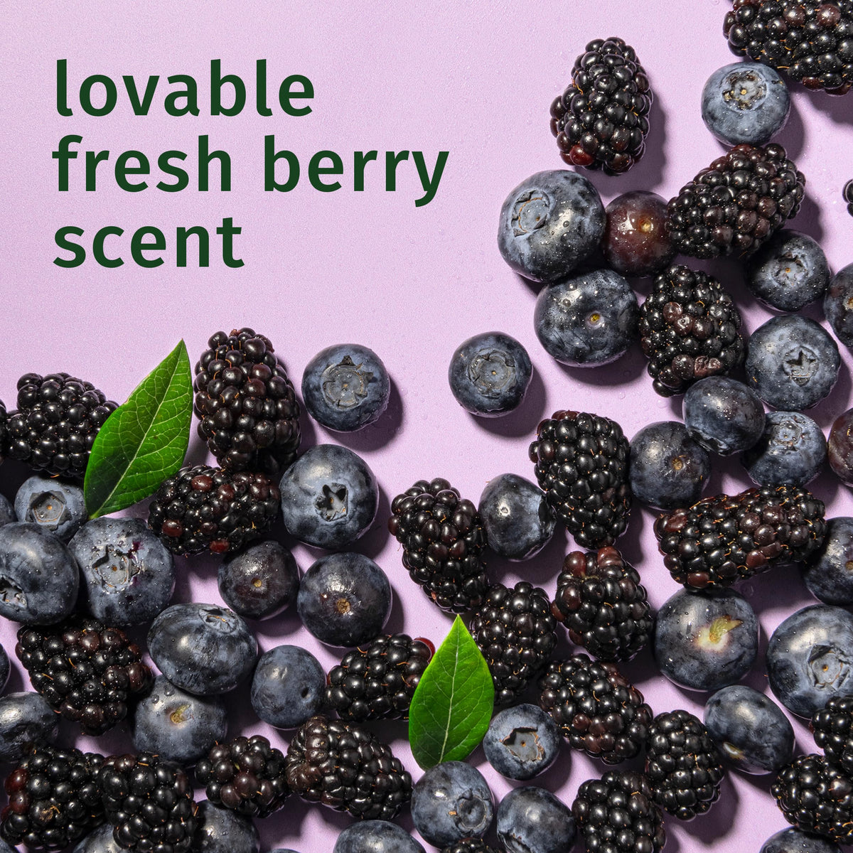 Herbal Essences label close-up highlighting paraben-free and cruelty-free