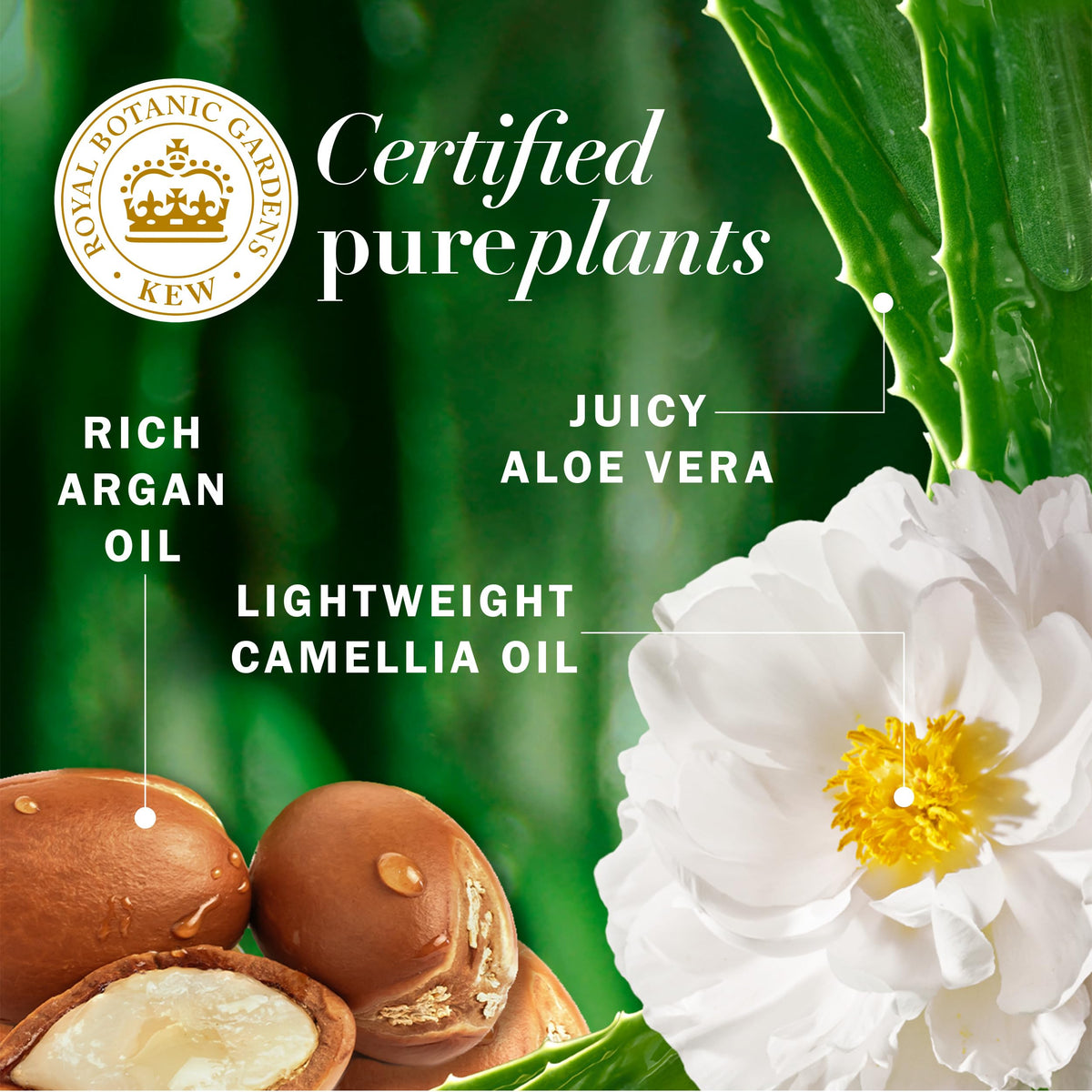 Herbal Essences conditioner texture on palm showing creamy, fast-absorbing benefit