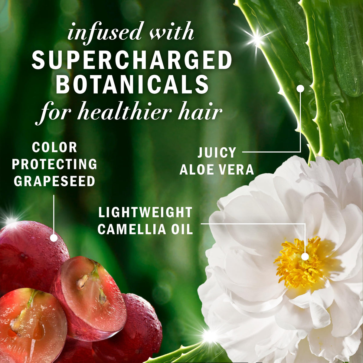 Herbal Essences dispensing conditioner from bottle showing controlled amount