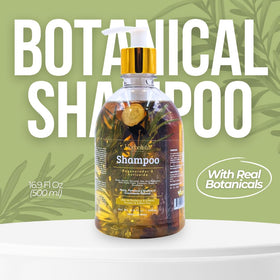 HERBALISTA arranged herbs on wood table illustrating authentic plant sources