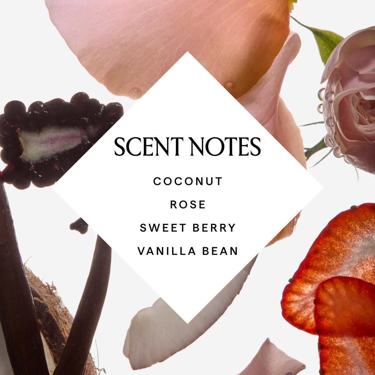 HERBIVORE coconut, shea butter and rose visuals showing natural ingredients benefit