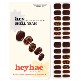heyhae front packaging showing fall tortoiseshell design and kit contents for easy use