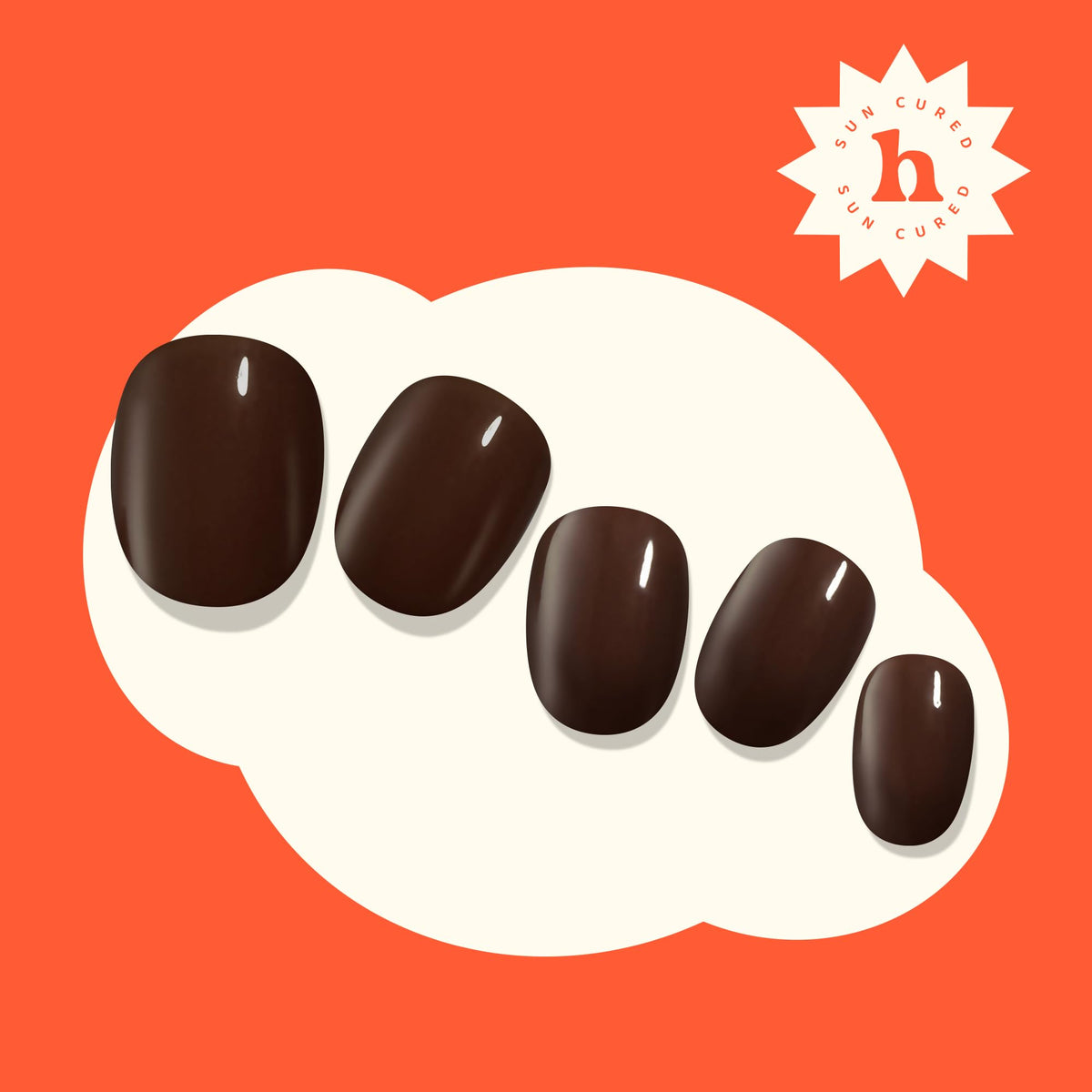 heyhae size comparison sheet showing multiple strip widths for perfect fit