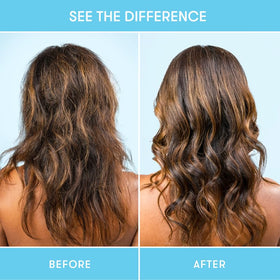 HiBAR shampoo and conditioner bars side-by-side demonstrating compact size