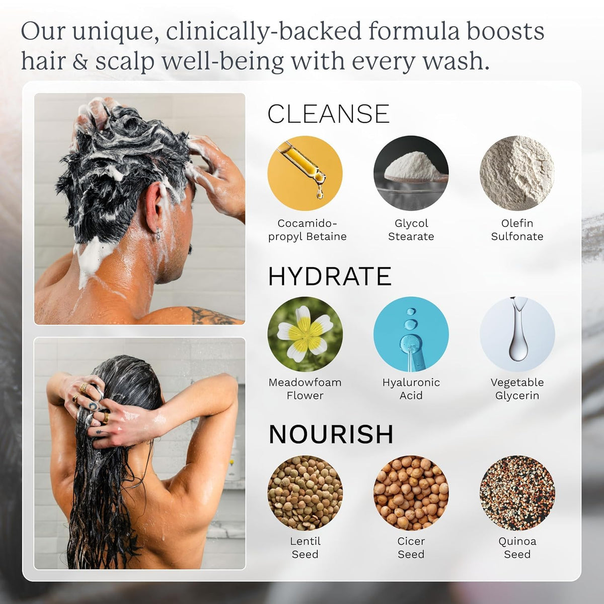 Highland ingredient flatlay with botanicals showing natural formulation