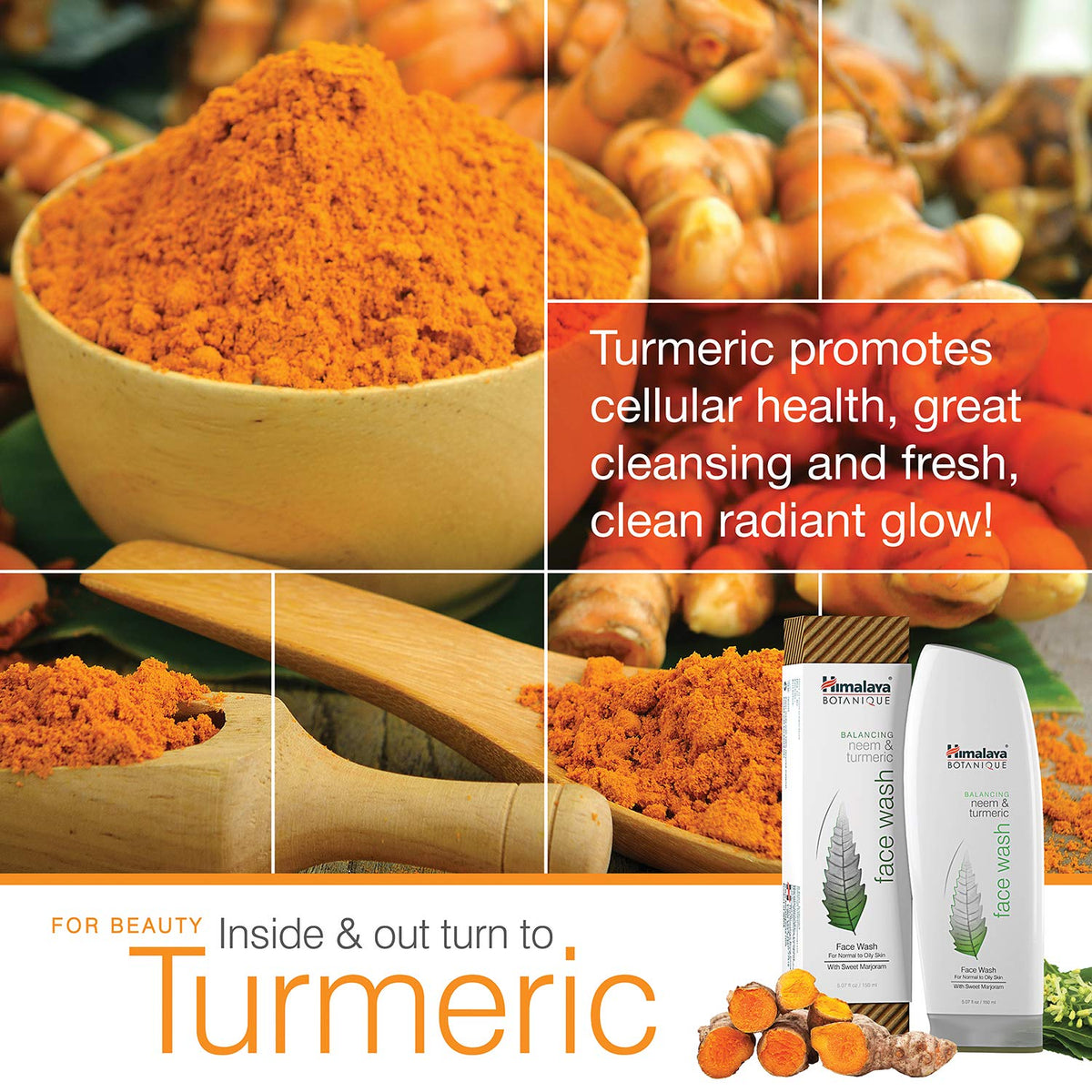 Himalaya neem turmeric coconut ingredients display supporting nourishment