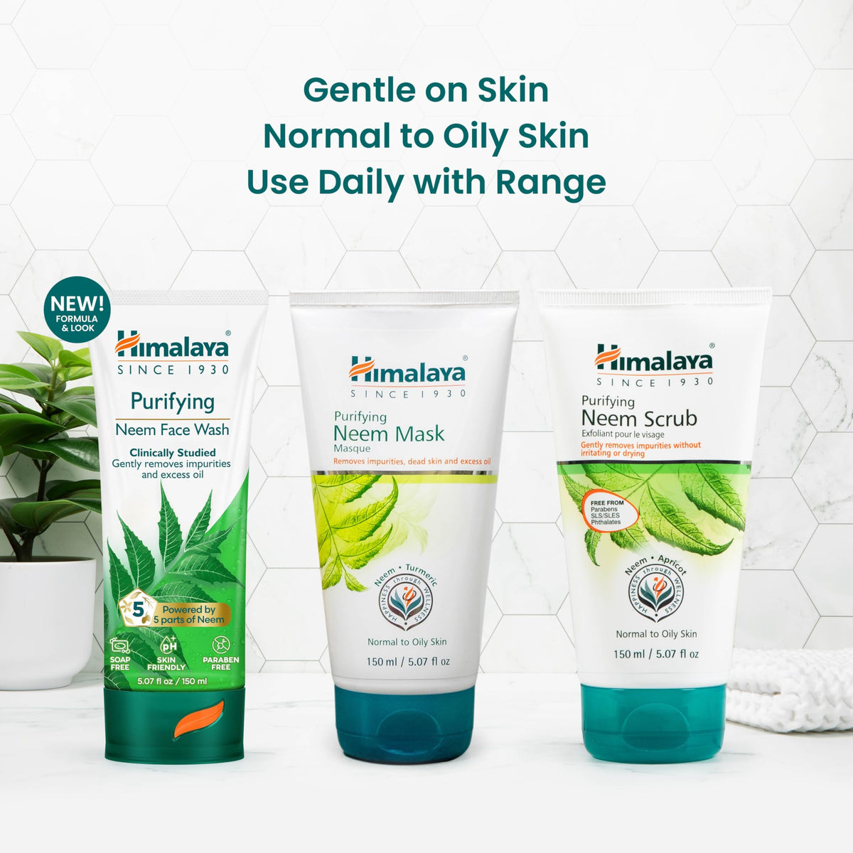 Himalaya neem and turmeric botanicals flatlay highlighting natural ingredient benefits