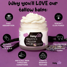 HolyCow jar opened to display herb-infused jojoba and grass-fed tallow blend benefits