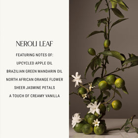 Homecourt botanical ingredients display with neroli and basil highlighting natural scent