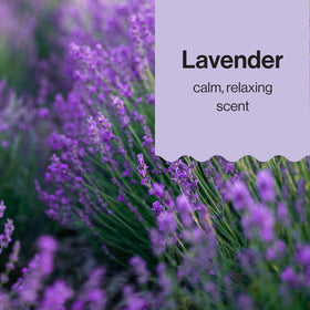 Parent massaging baby in nursery with The Honest Company calming lavender scent