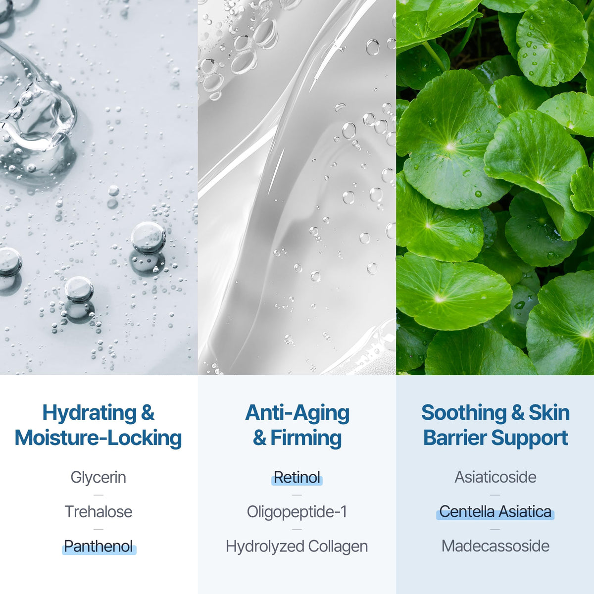 Honeydew Labs patch held in hand showing size and easy application benefit