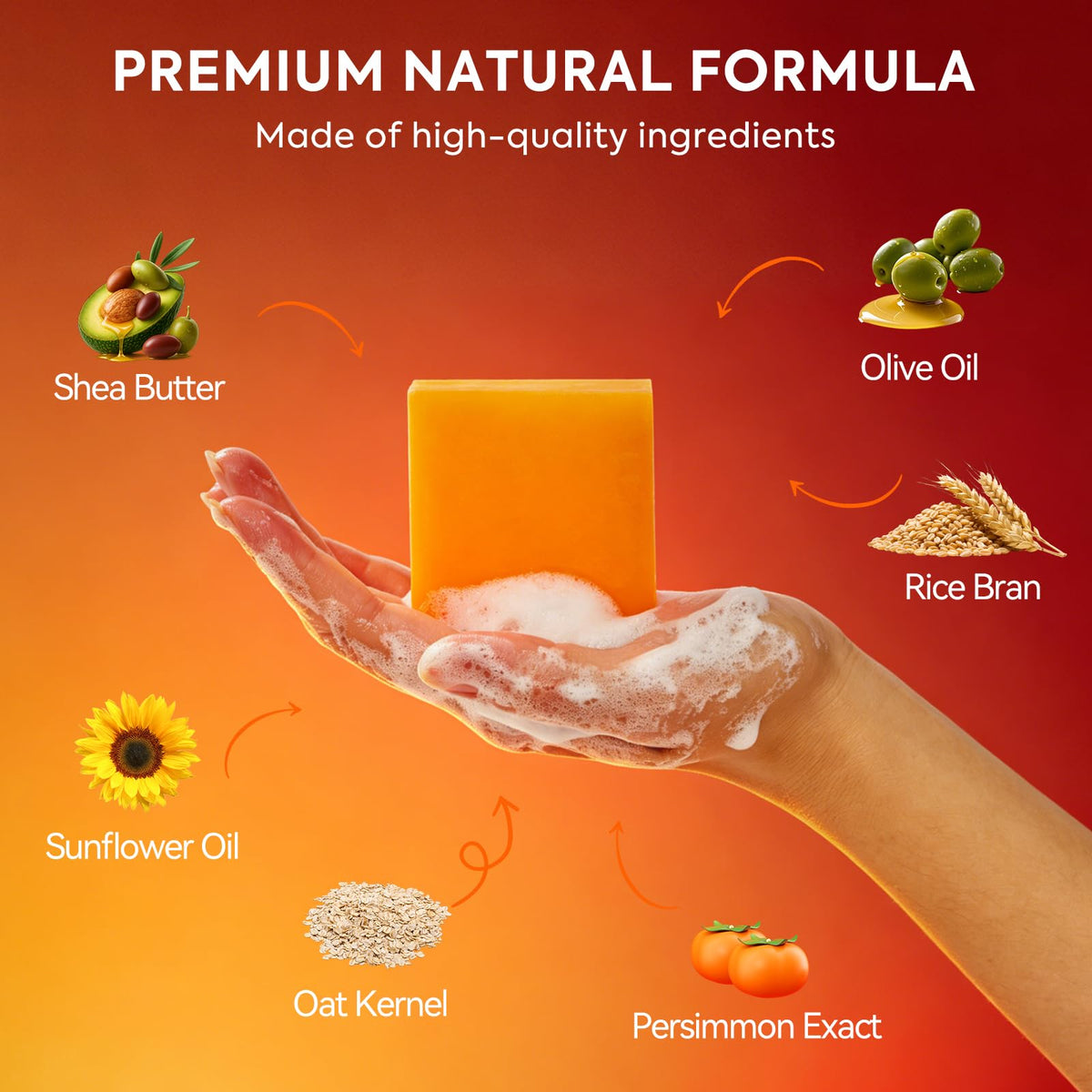 House of Nutrition ingredients label close-up highlighting persimmon and green tea
