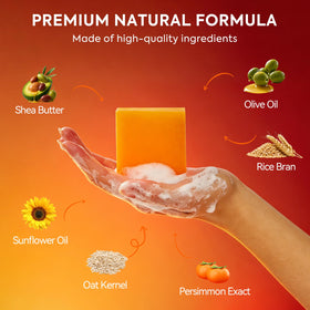 House of Nutrition ingredients label close-up highlighting persimmon and green tea