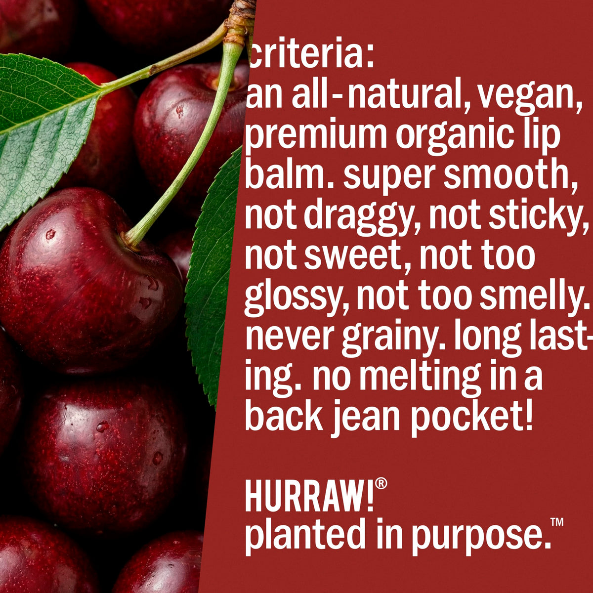 Arrangement of plant-based ingredient bottles used in HURRAW! formulas highlighting organic origins