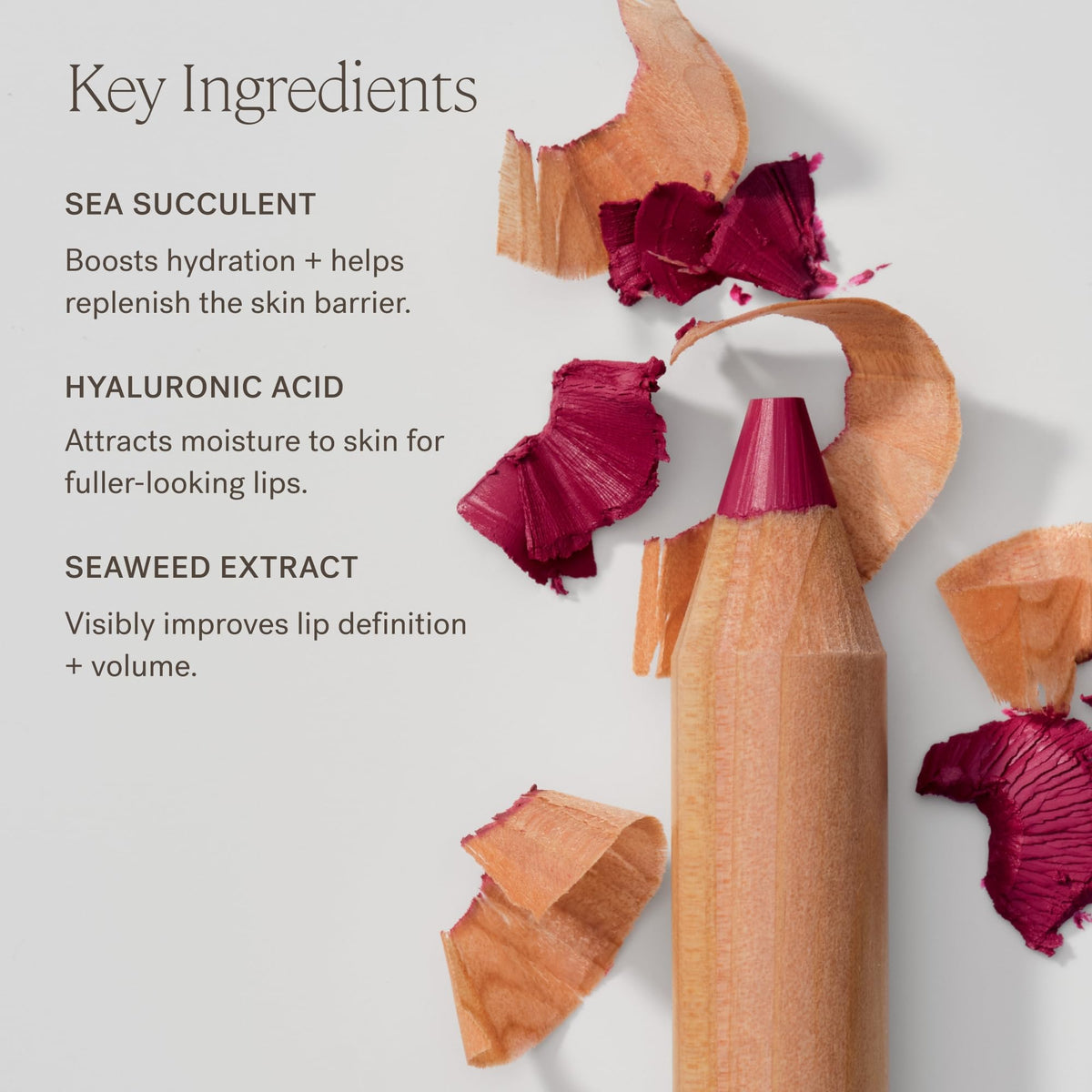 close-up of ILIA Lip Sketch tip texture highlighting smooth glide and precise line