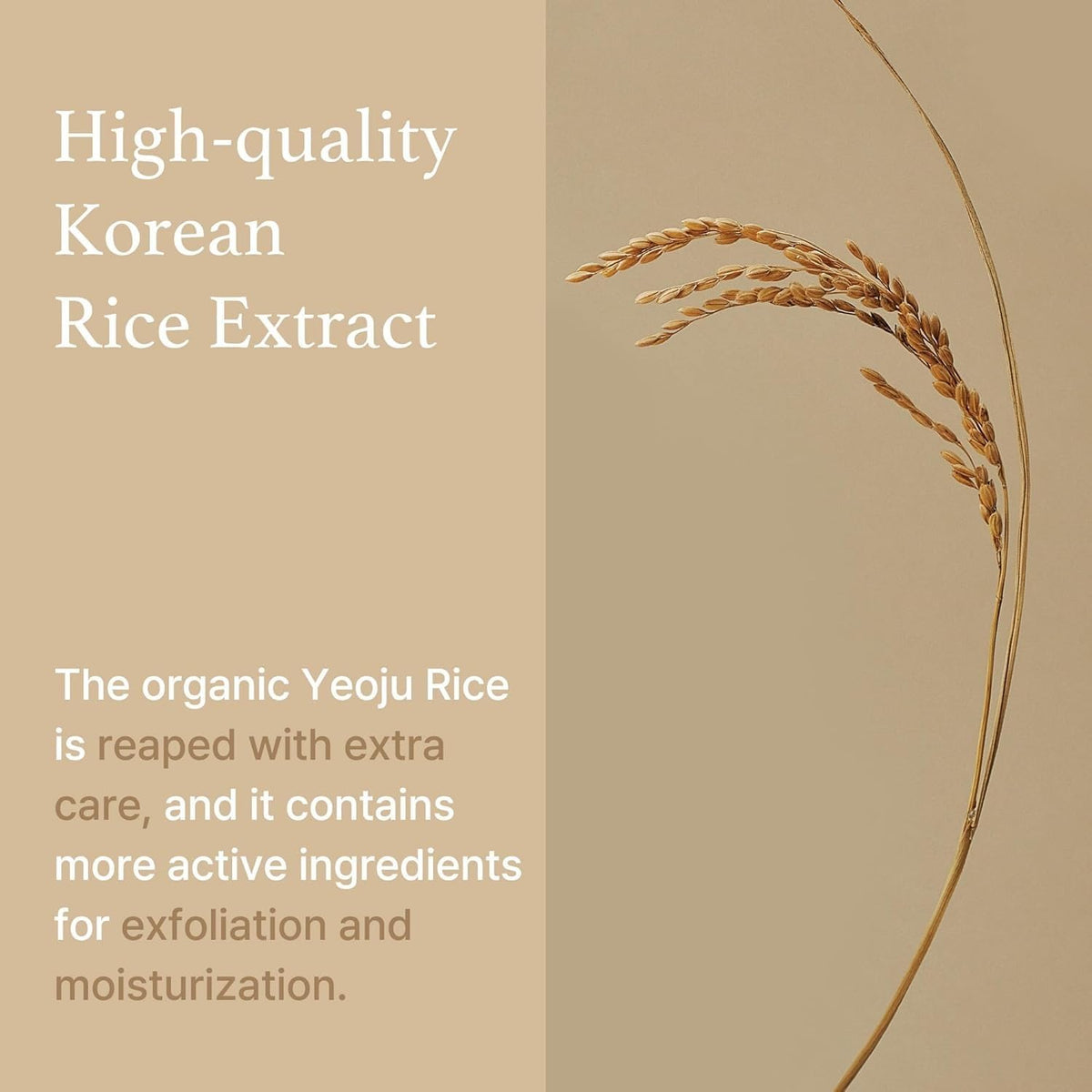 I'm from ingredient label featuring rice extract and active niacinamide benefits