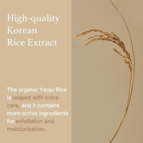 I'm from ingredient label featuring rice extract and active niacinamide benefits