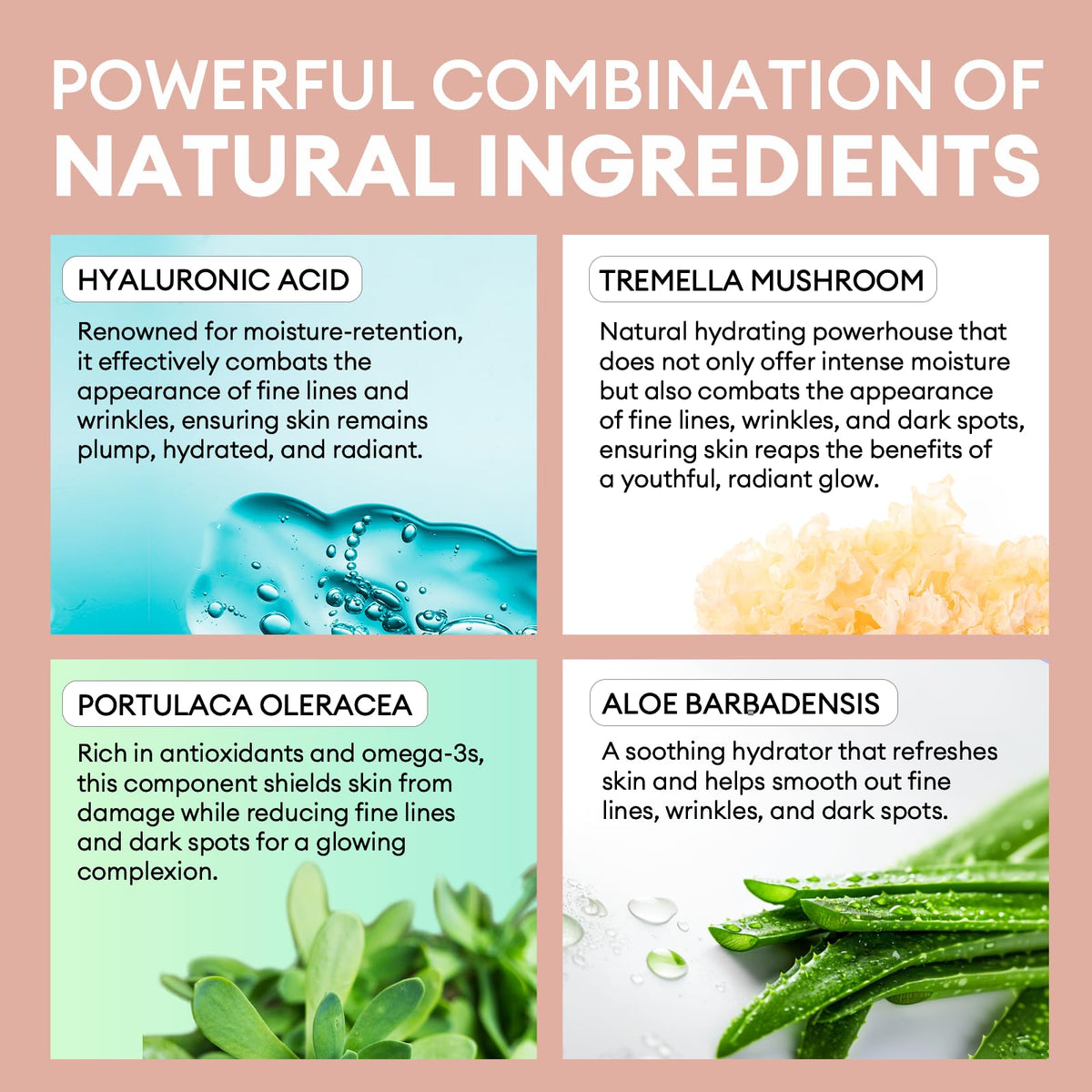 Inblair ingredient display of tremella and portulaca illustrating natural support