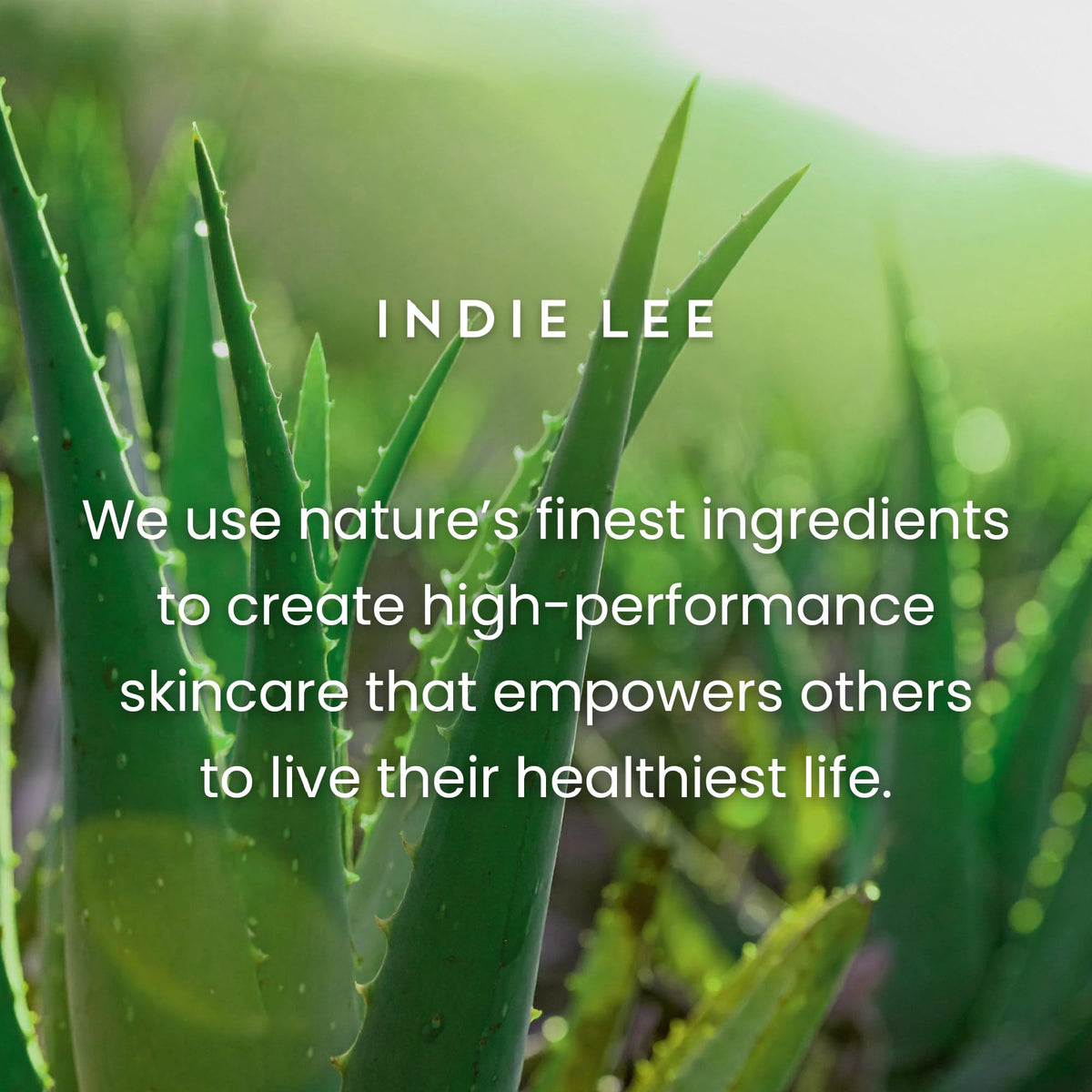Indie Lee cleanser on bathroom vanity in a daily skincare routine