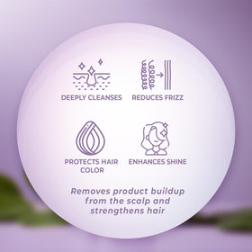 INFINA ESSENTIALS applying purple shampoo to wet hair for targeted toning
