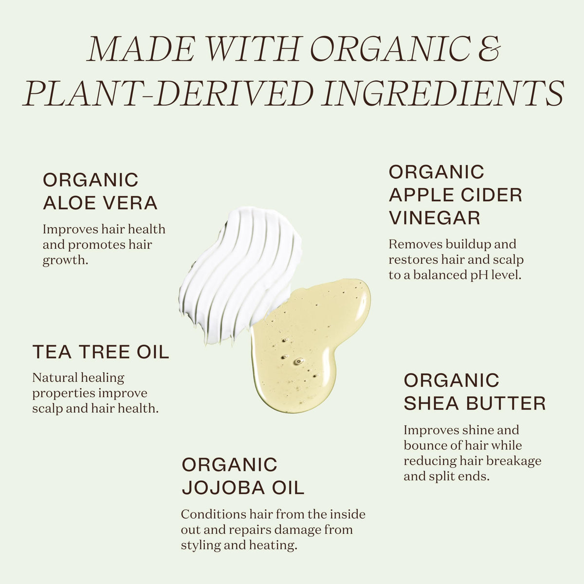 ingreendients shampoo texture lather demonstrating gentle cleansing benefit