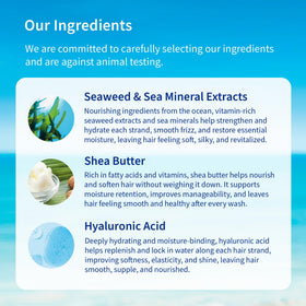 Inis conditioner bottle in hand showing 8.5 fl oz size and travel-friendly benefit