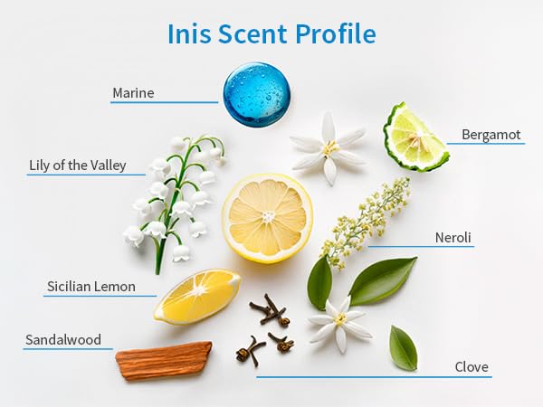 Inis the Energy of the Sea with seaweed and aloe flatlay showing natural ingredient benefits