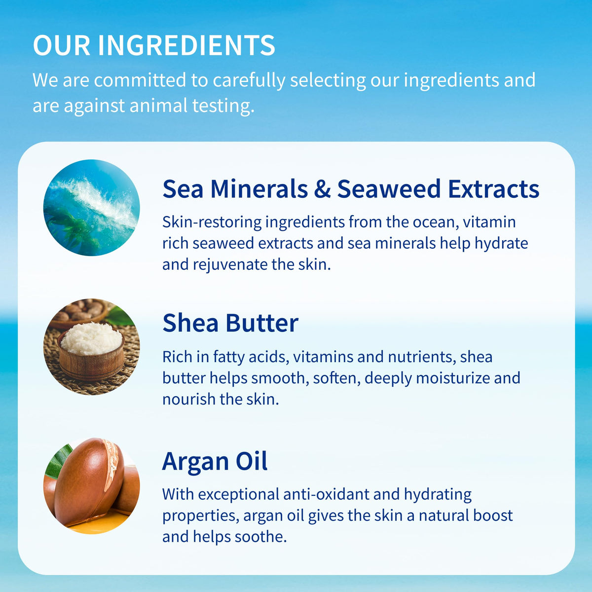Inis the Energy of the Sea ingredients arranged with seaweed and botanicals for natural nourishment