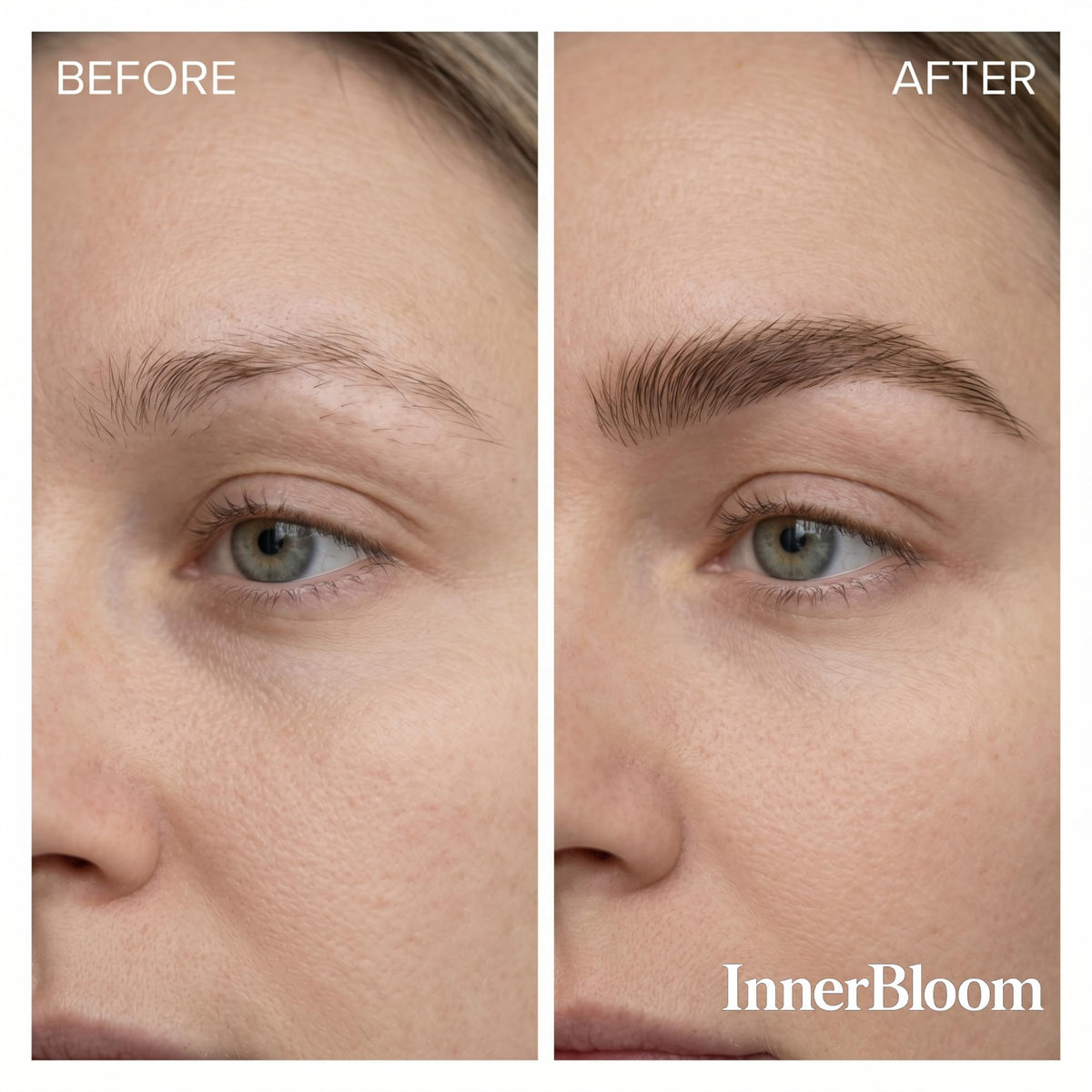 Innerbloom ingredient highlights with ginseng and saw palmetto for balanced support