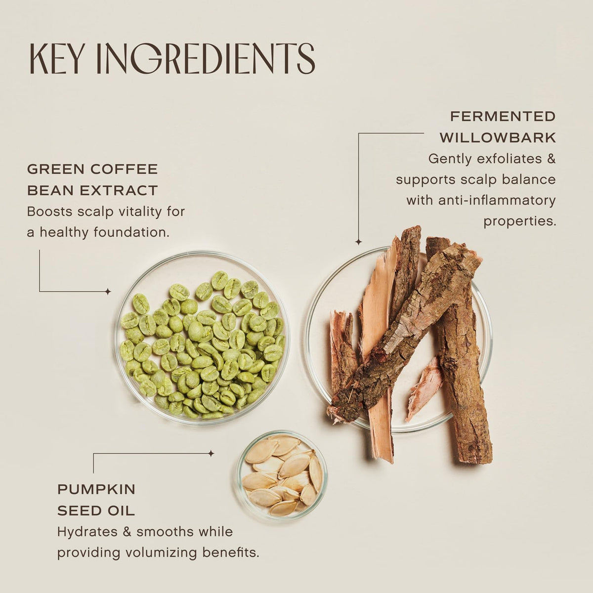 INNERSENSE willowbark and green coffee ingredients highlighting natural support