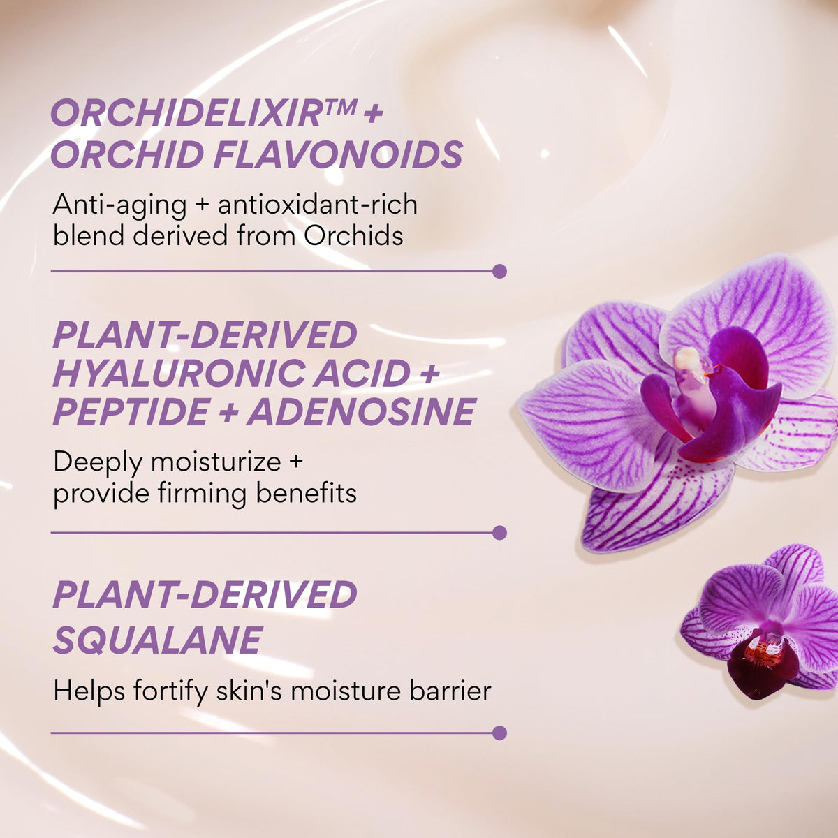 innisfree Jeju orchid petals and extract emphasizing antioxidant support