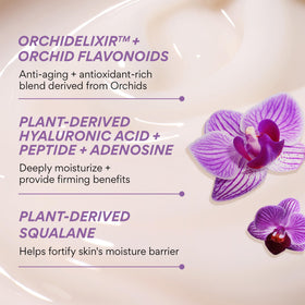 innisfree Jeju orchid petals and extract emphasizing antioxidant support