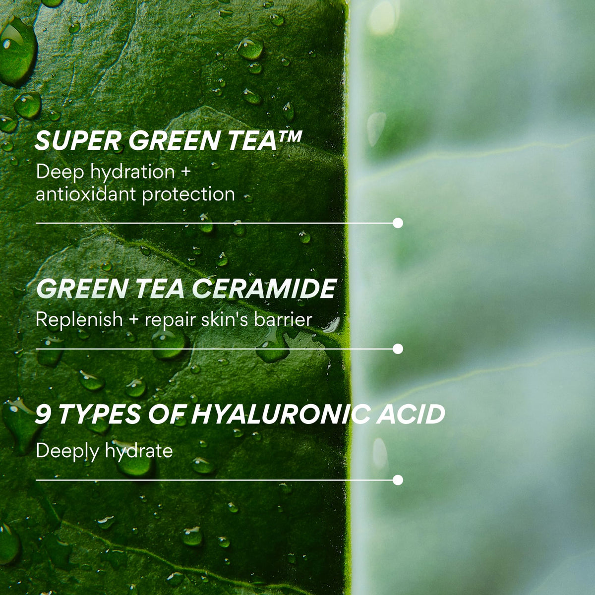innisfree travel kit setting displaying convenience for trips
