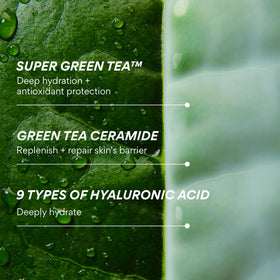 innisfree travel kit setting displaying convenience for trips