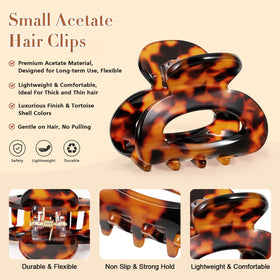 Interesse group layout displaying four tortoise and leopard patterns benefit: versatile coordination