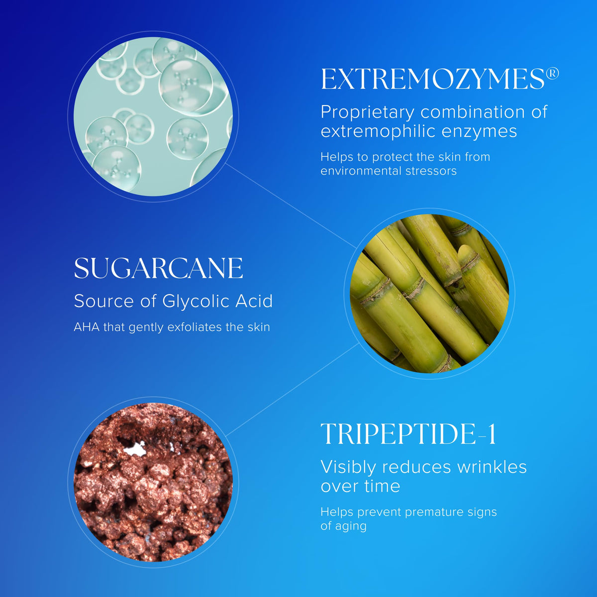 iS CLINICAL ingredient label close-up highlighting active botanicals and actives