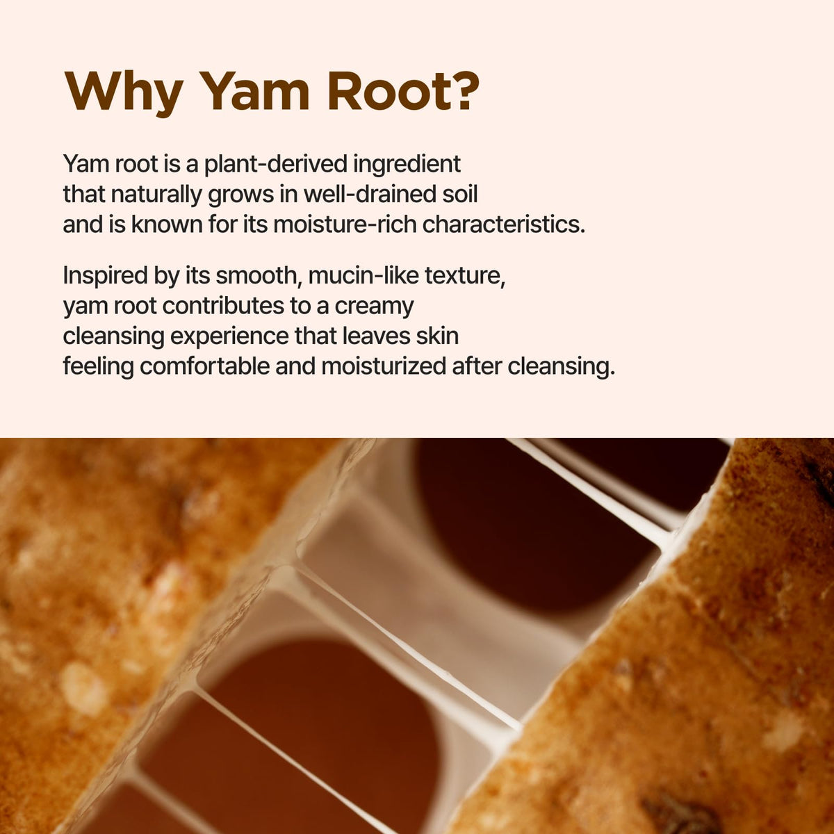 IsNtree ingredient label focused on ceramide NP and yam root, highlighting barrier support