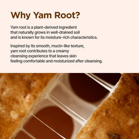 IsNtree ingredient label focused on ceramide NP and yam root, highlighting barrier support