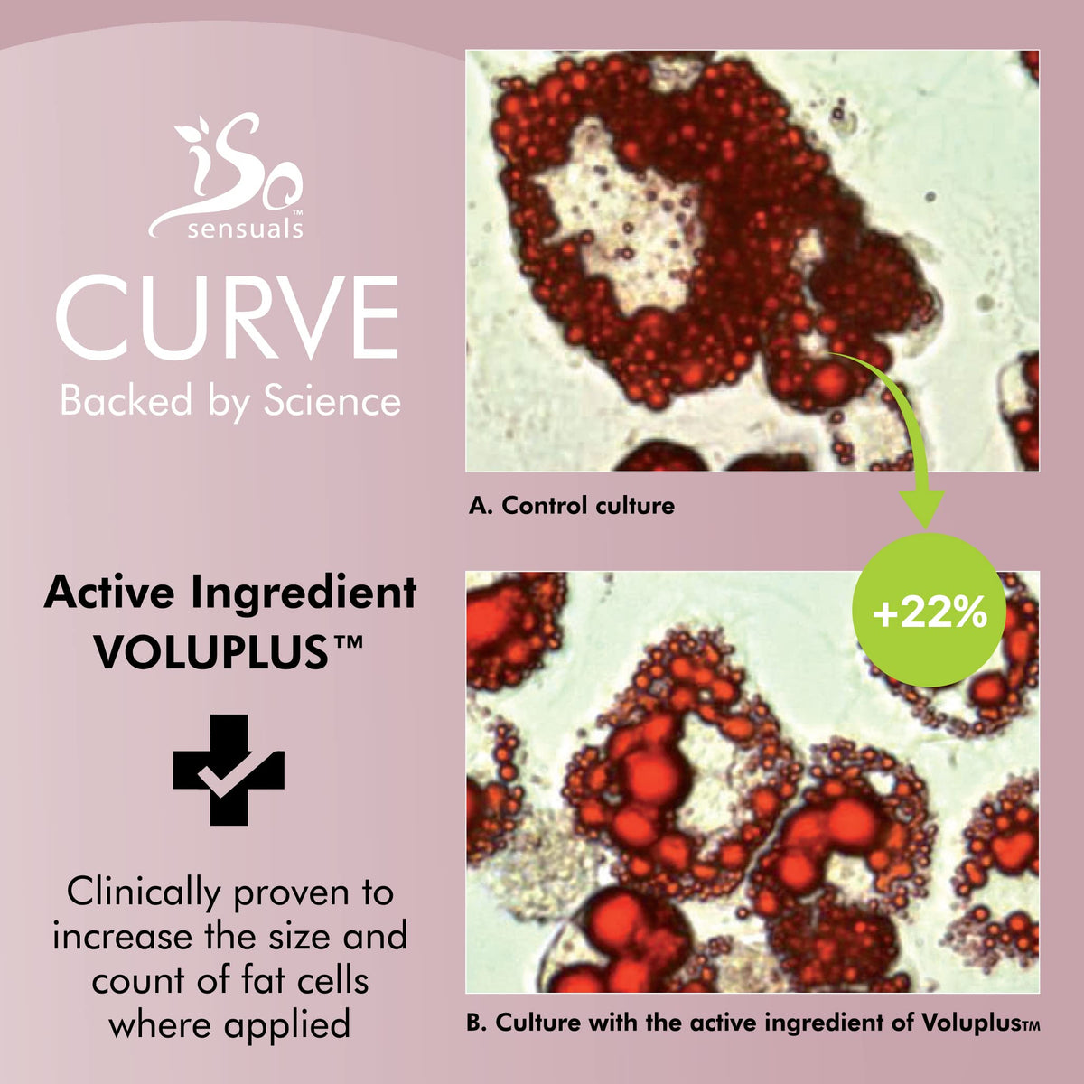 IsoSensuals CURVE ingredient bottles display showing natural oil blend benefits