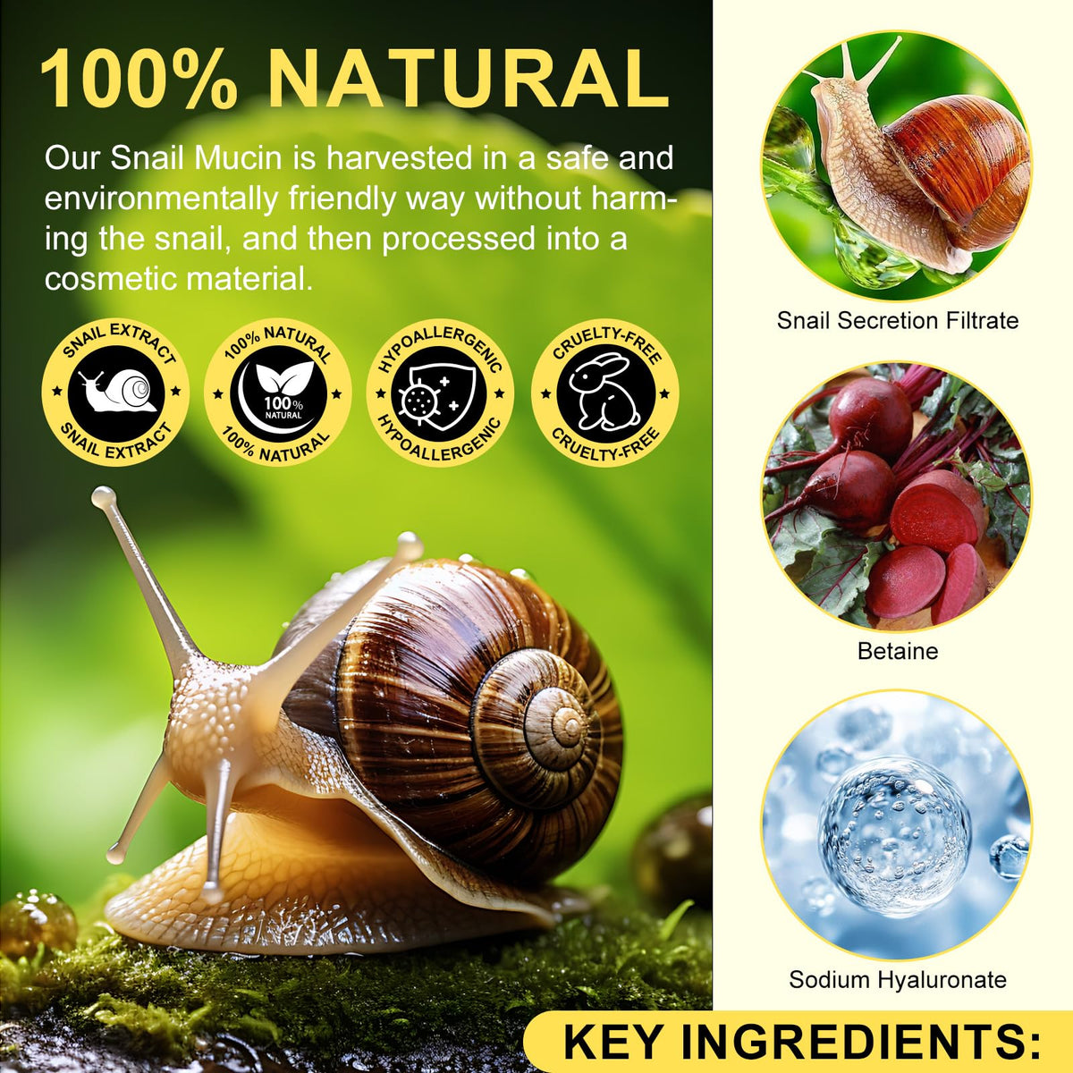 ITSDAWN product label and ingredients clear for informed purchase